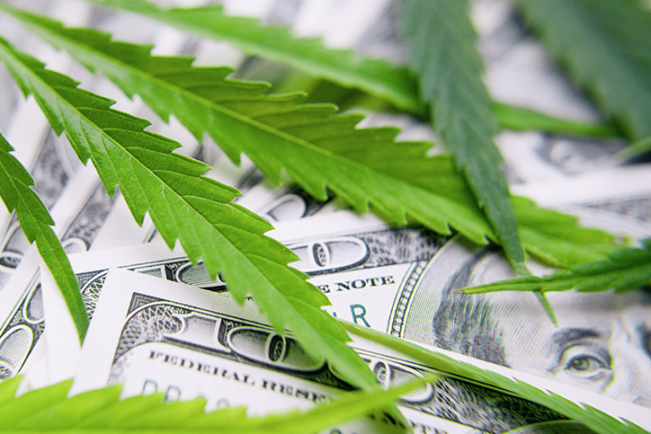 cannabis leaves on top of money